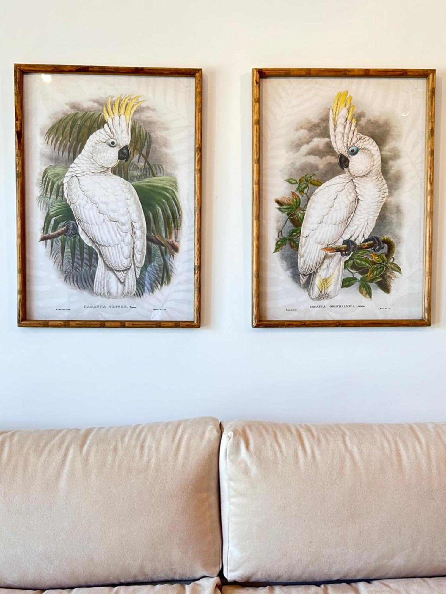 Apartamento Veranoazul ネルハ エクステリア 写真